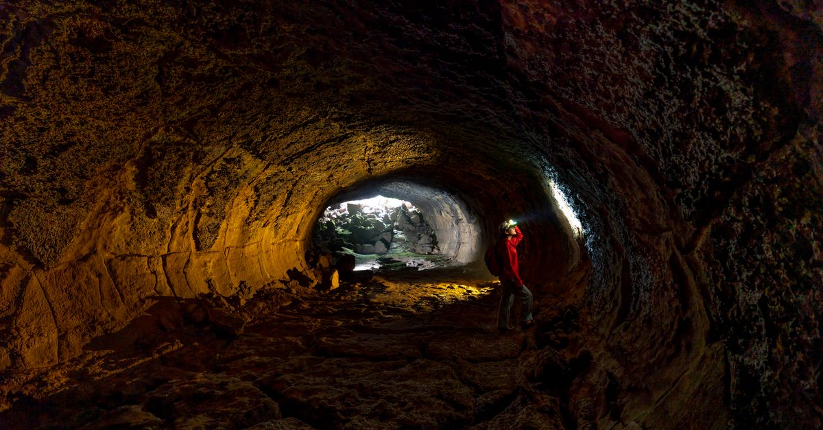 plongez au cœur de l'exploration et découvrez des aventures inédites, des découvertes fascinantes et des horizons à explorer.