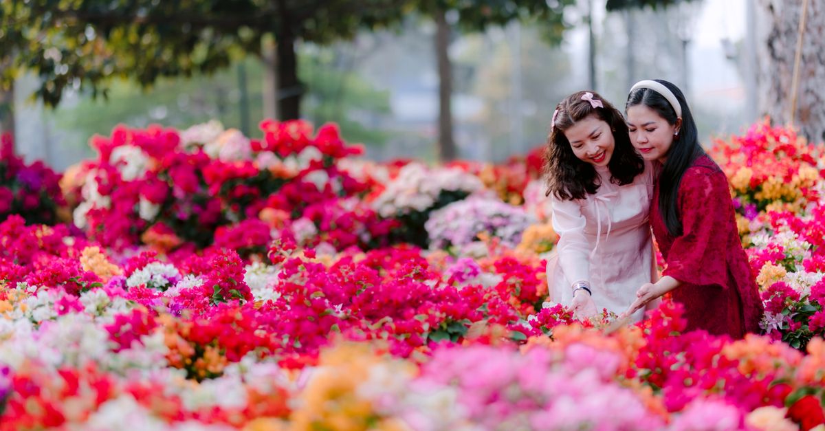 découvrez joyful flowers, votre destination pour des bouquets joyeux et colorés qui illuminent chaque occasion avec fraîcheur et bonheur.