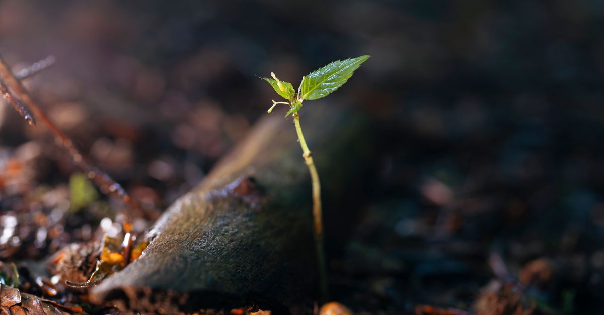 découvrez un nouveau départ rempli d'opportunités et de découvertes inspirantes pour transformer votre vie.