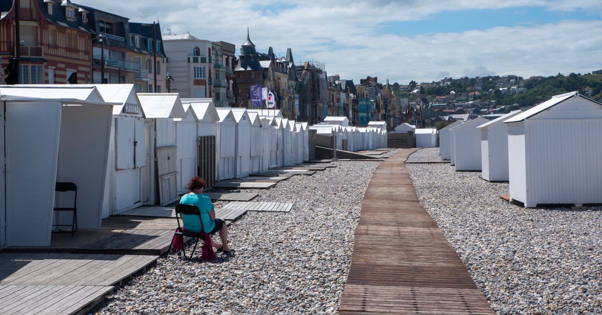 découvrez comment participer et gagner dans 'tout le monde veut prendre sa place', le célèbre jeu télévisé qui met à l'épreuve votre culture générale et votre stratégie.
